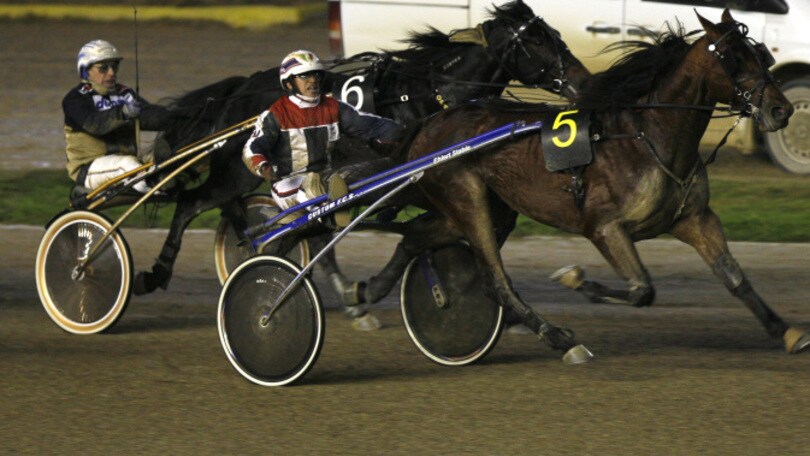 Ippica, a Padova scelta base Rania Oaks