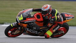 Petrucci, Pirro e Corsi maestri di guida