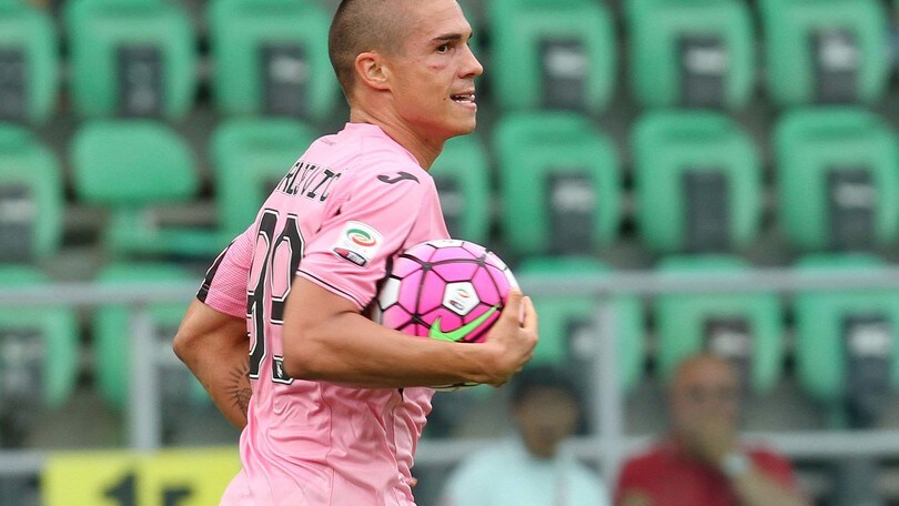 Palermo, che sfortuna: Djurdjevic sarà operato
