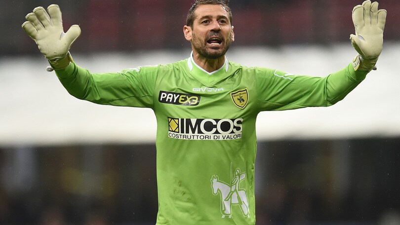 Bizzarri: «Carpi? Troverà un Chievo arrabbiato»