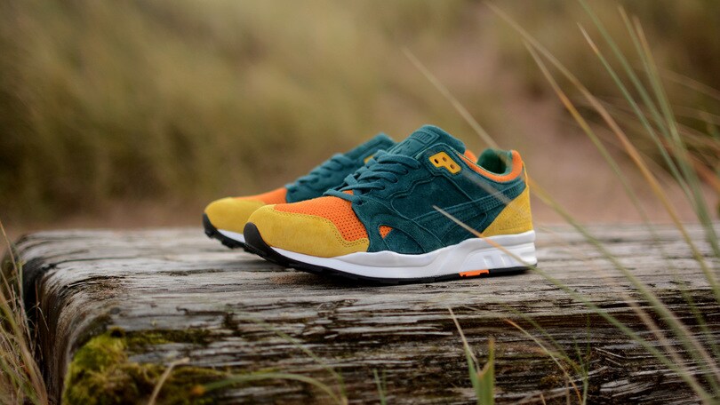 Puma. Ultimo capitolo dell' Adventurer Pack