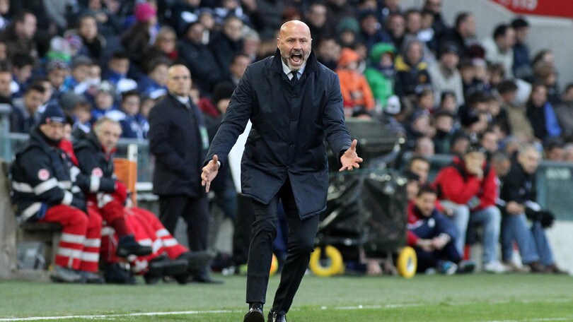 Serie A, Colantuono: «Di Natale per noi è importante»