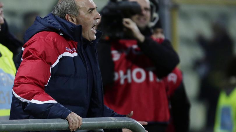 Serie A Carpi, Castori: «Non c'è stata nessuna rissa»