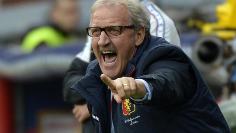 Coppa Italia Verona, decide Winck. Battuto il Pavia