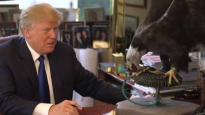 Trump in posa con l'aquila ma lei prova a beccarlo