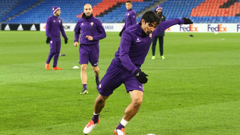 Serie A Fiorentina, Fernandez: «Stiamo facendo un bellissimo campionato»