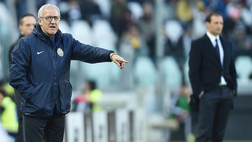 Serie A Verona Del Neri: «Juventus superiore in tutto»