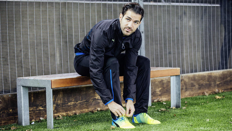 Potenza e flessibilità per le nuove evoPower 1.3