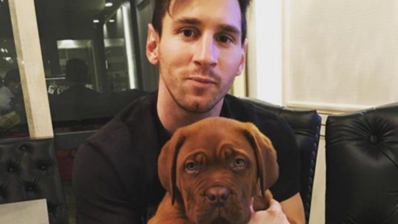 Barcellona, un cagnolino in casa Messi