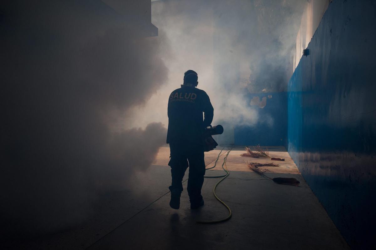 Zika, governo Brasile: nessun rischio a Giochi Rio