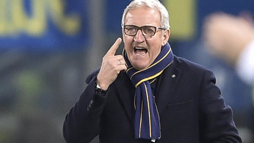 Serie A Verona, Del Neri: «Proviamoci fino all'ultima partita»
