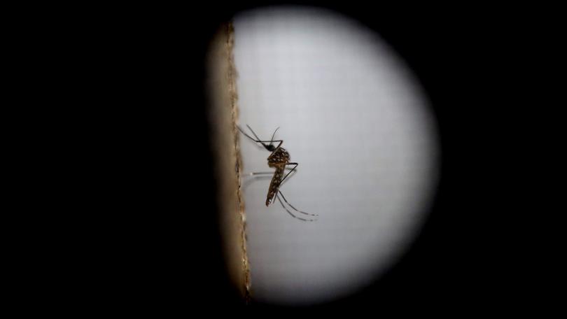 Zika, riscontrato il primo caso a Cuba