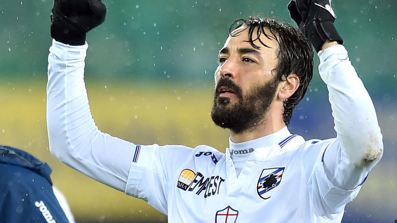 Serie A Sampdoria, Cassani: «Bene col Verona. Ora tocca all'Empoli»