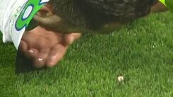 Champions League: Vieirinha perde un dente dopo lo scontro con Kroos