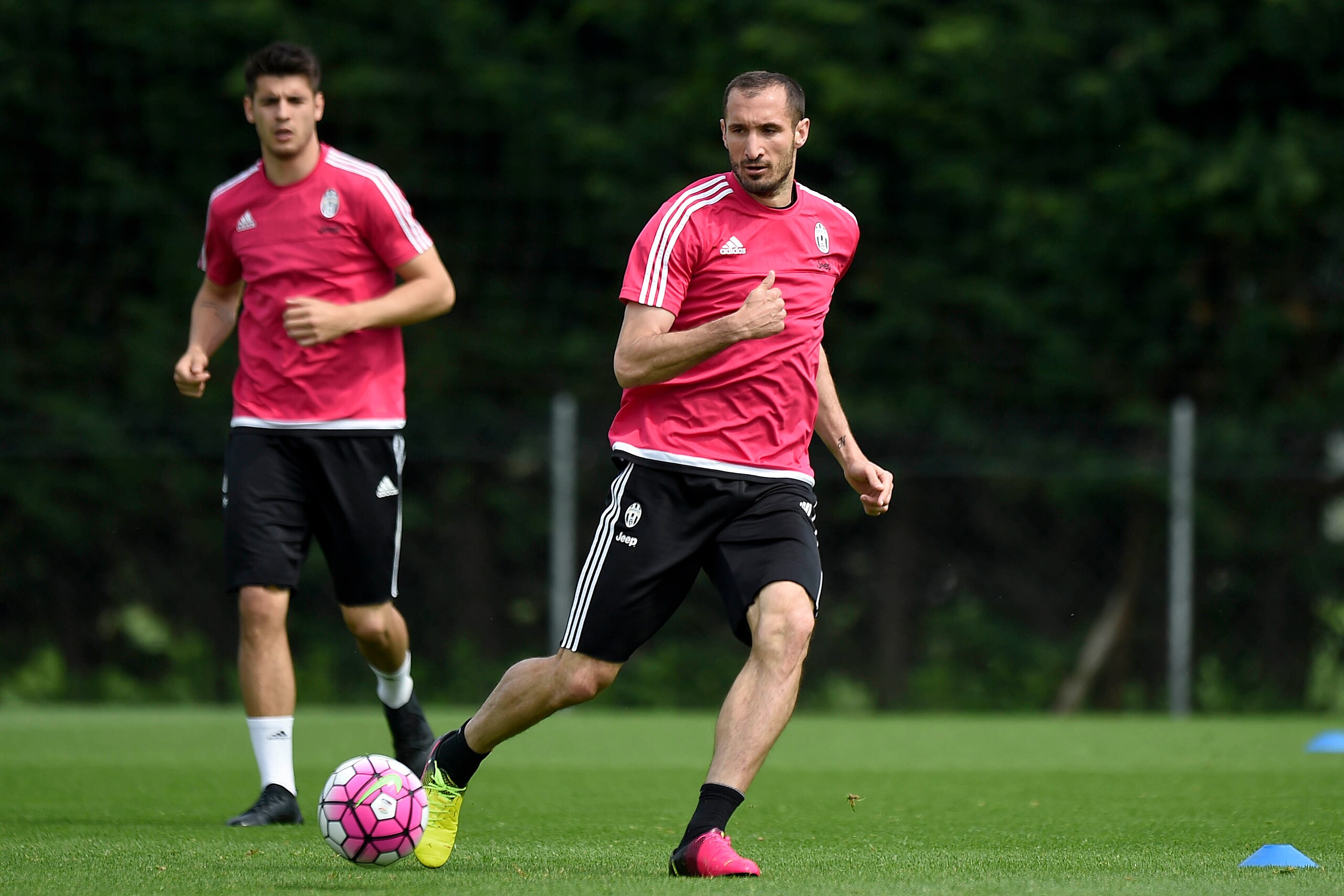 Juventus, pazzesco Chiellini: nuovo infortunio al ginocchio
