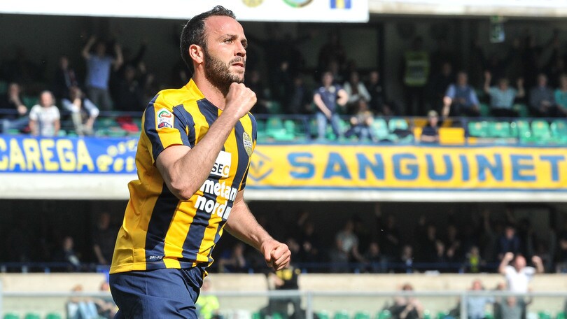 Serie A Verona, Pazzini-Albertazzi in attesa di esami clinici