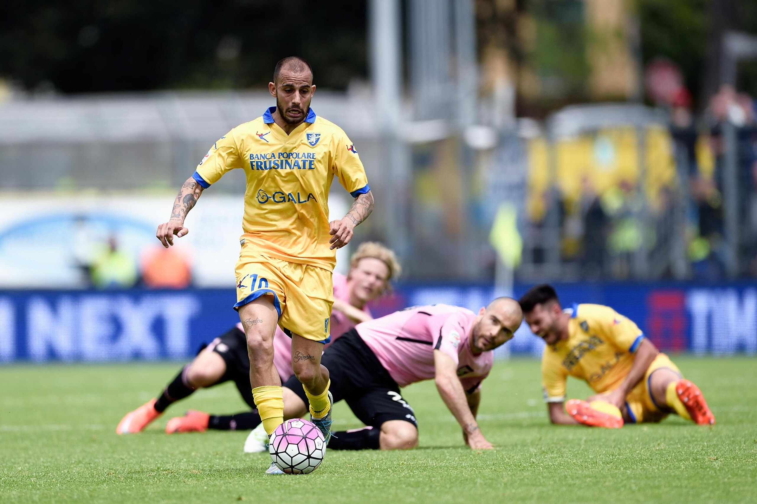 Serie A Frosinone, Soddimo-Pavlovic in dubbio per Sassuolo
