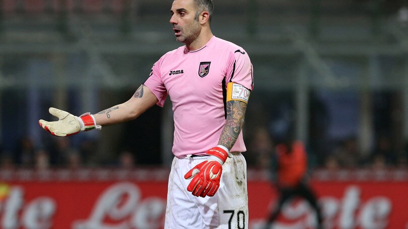 Serie A Palermo, Sorrentino: «Speriamo che accettino il ricorso»
