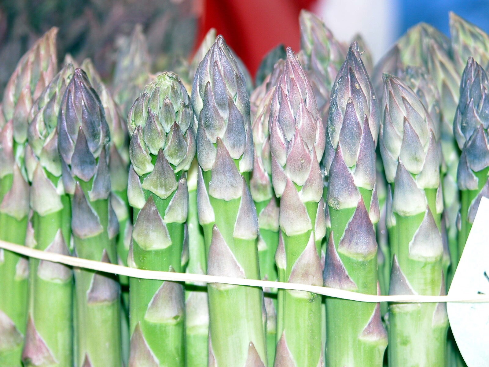 A maggio festa degli asparagi a Santena