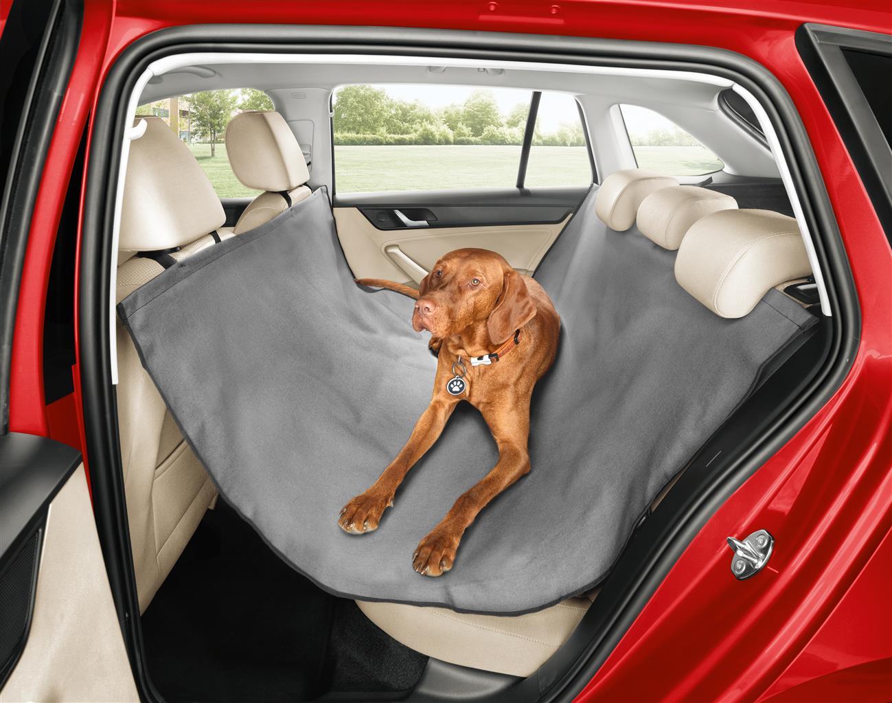 Skoda, gli accessori per il trasporto dei cani