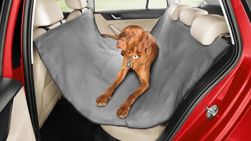 Skoda, gli accessori per il trasporto dei cani