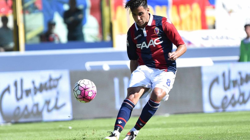Serie A Bologna, contro il Chievo ballottaggio Pulgar-Taider