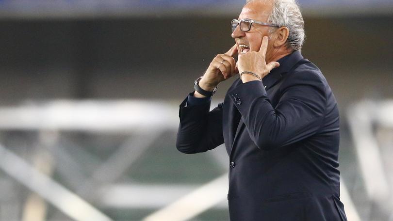 Serie A Verona, Delneri: «Daremo tutto col Palermo»