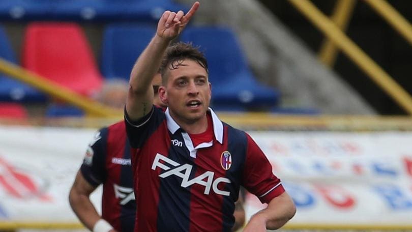 Calciomercato Bologna, anche Fiorentina e Lazio vogliono Giaccherini