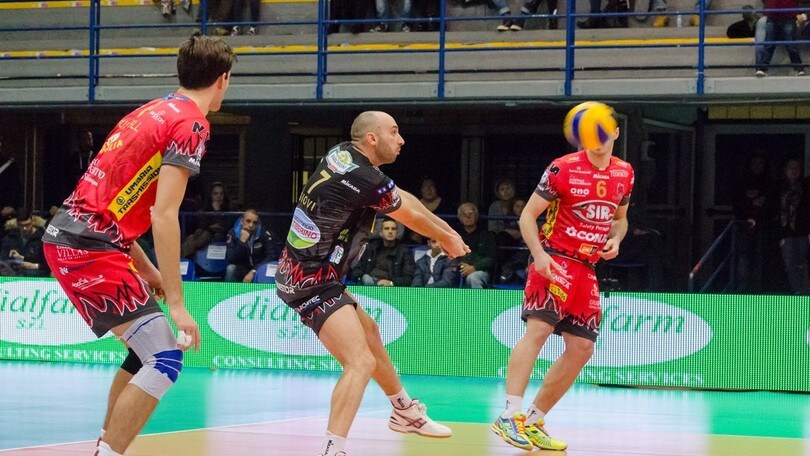 La Calzedonia Verona ufficializza l'ingaggio di Andrea Giovi