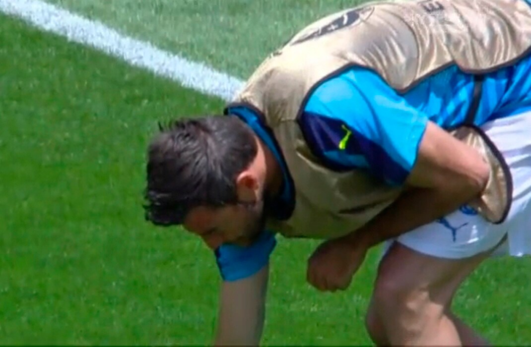 Euro 2016, Barzagli difende la coccinella: la fa portare fuori dal campo