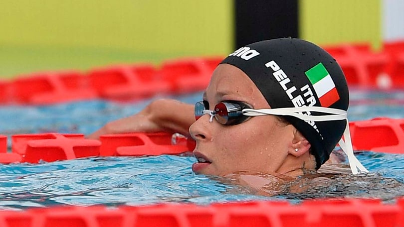 Nuoto, Pellegrini ok nei 100 stile: «Potrei farli a Rio»