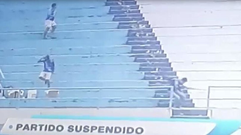 Ecuador, invasione di api: il pubblico fugge