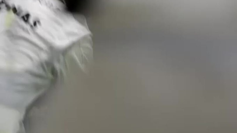 F1, Ungheria: Hamilton, vittoria e testa della classifica