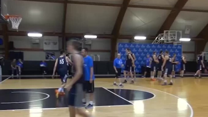 Basket: Bargnani torna in Europa