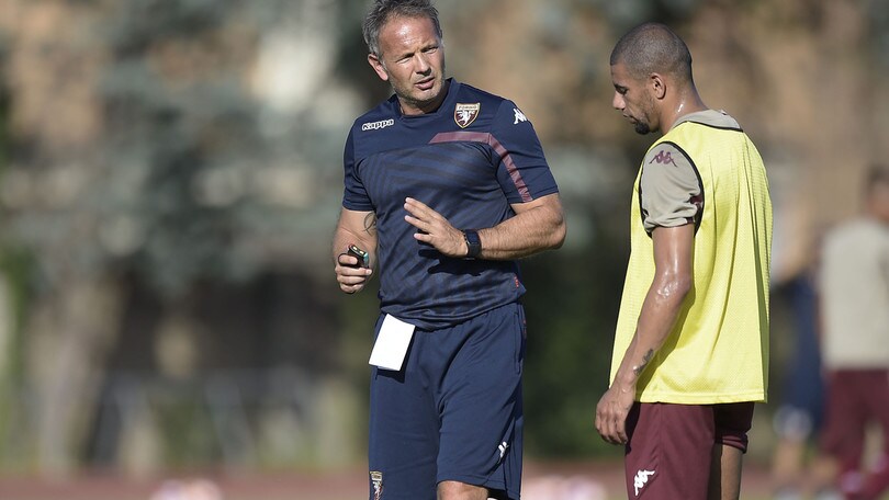 Mihajlovic: «Torino, voglio la qualificazione. Maksimovic e Padelli giocano»