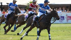 Polo: Passione e stile