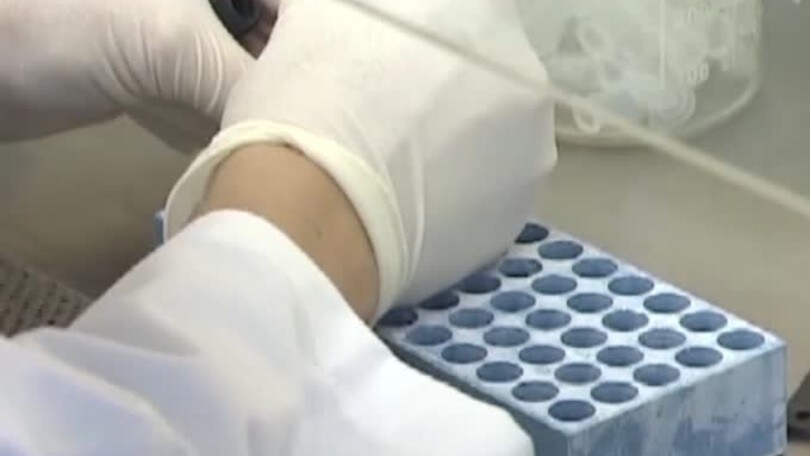 Doping, gli hacker svelano: c'è anche Nadal