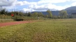 Doping, caso Schwazer: esame dna su provette