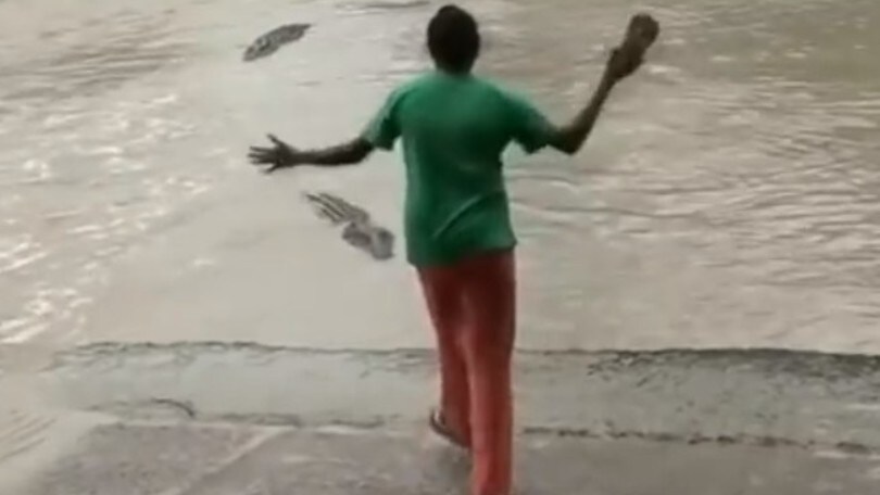 Signora spaventa coccodrillo con una ciabatta