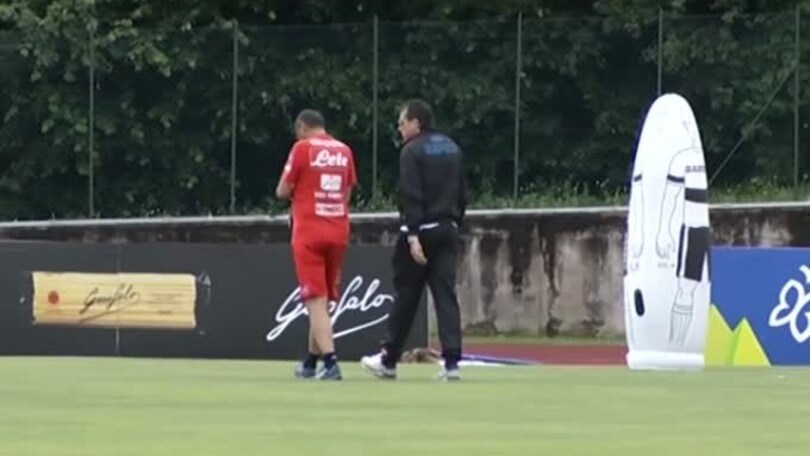 Napoli: Drogba al posto di Milik?