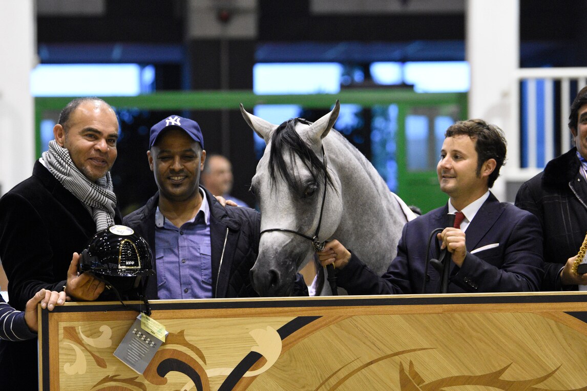 Kep Italia allo Straight Egyptian World Championship