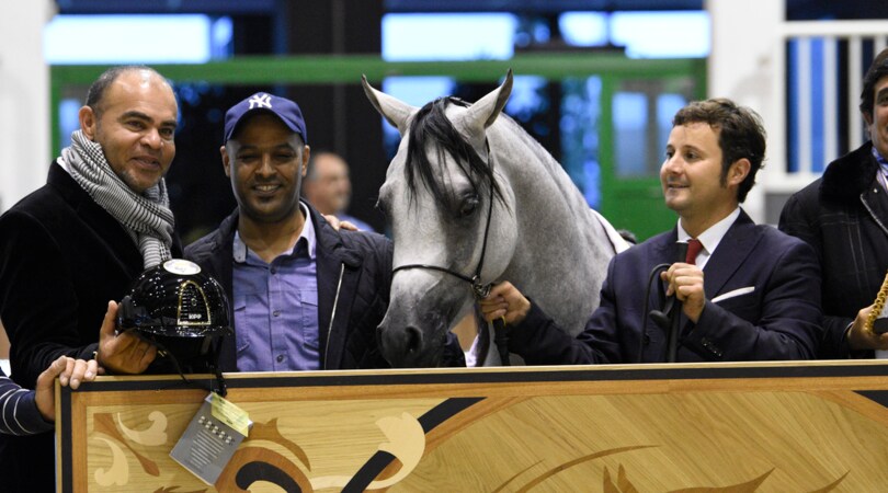 Kep Italia allo Straight Egyptian World Championship