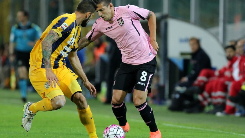 Serie A Palermo, per Trajkovski lavoro differenziato