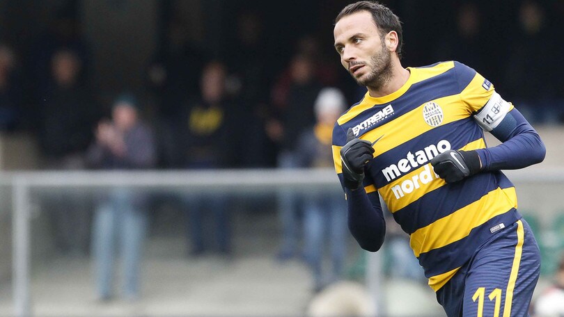 Serie B, Cittadella-Verona: Hellas favorito a 2,20