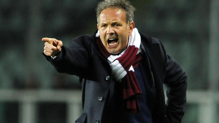 Torino, Mihajlovic: «Confermo il mio obiettivo: è l'Europa»