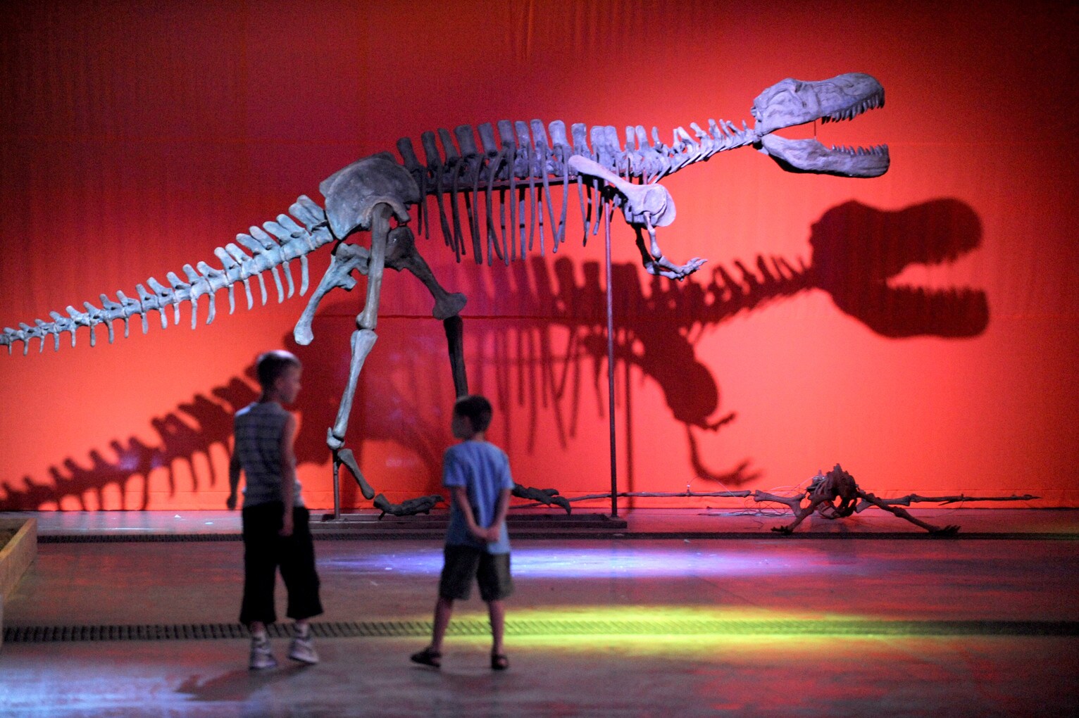 Dinosaurs live: un tuffo nella preistoria