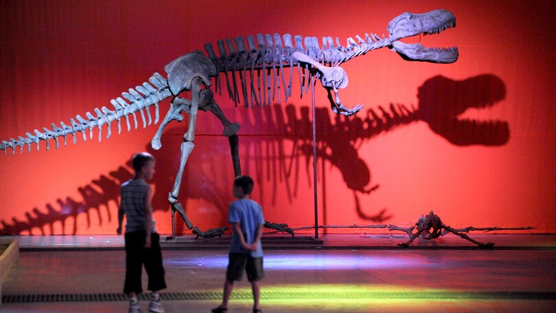 Dinosaurs live: un tuffo nella preistoria