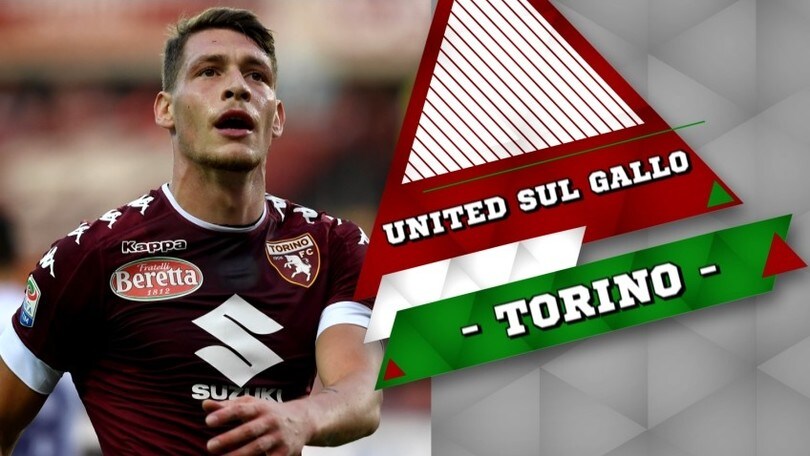 “Torino, United pronto a pagare i 100 milioni per Belotti”