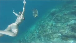Federica Pellegrini nuota con le tartarughe alle Maldive