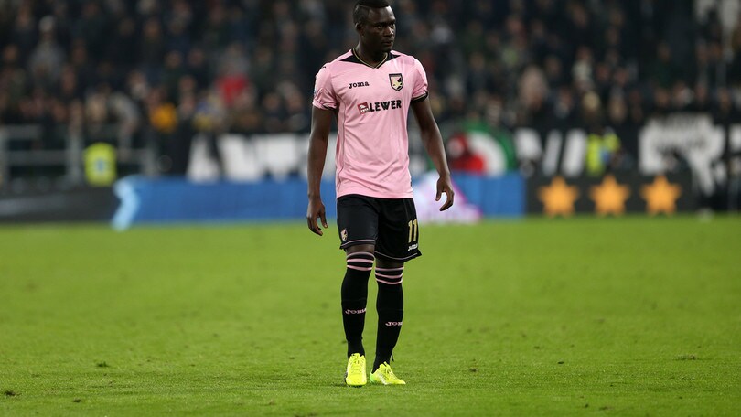 Serie A Palermo, Embalo: stiramento del semimembranoso e semitendinoso